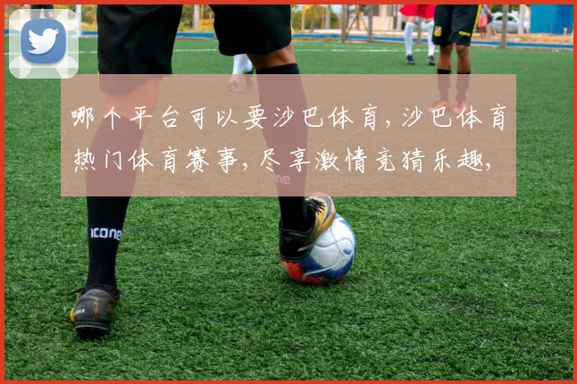 哪个平台可以要沙巴体育,沙巴体育热门体育赛事,尽享激情竞猜乐趣,体验刺激