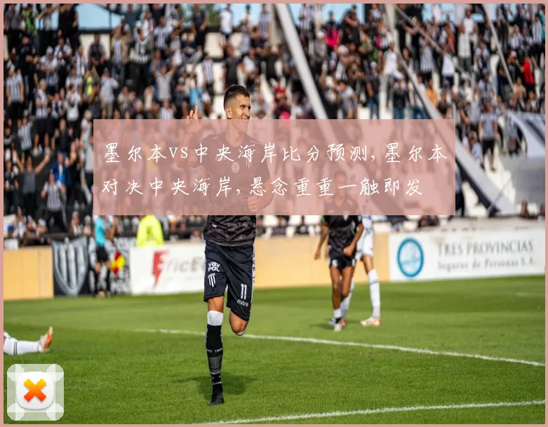 墨尔本vs中央海岸比分预测,墨尔本对决中央海岸,悬念重重一触即发